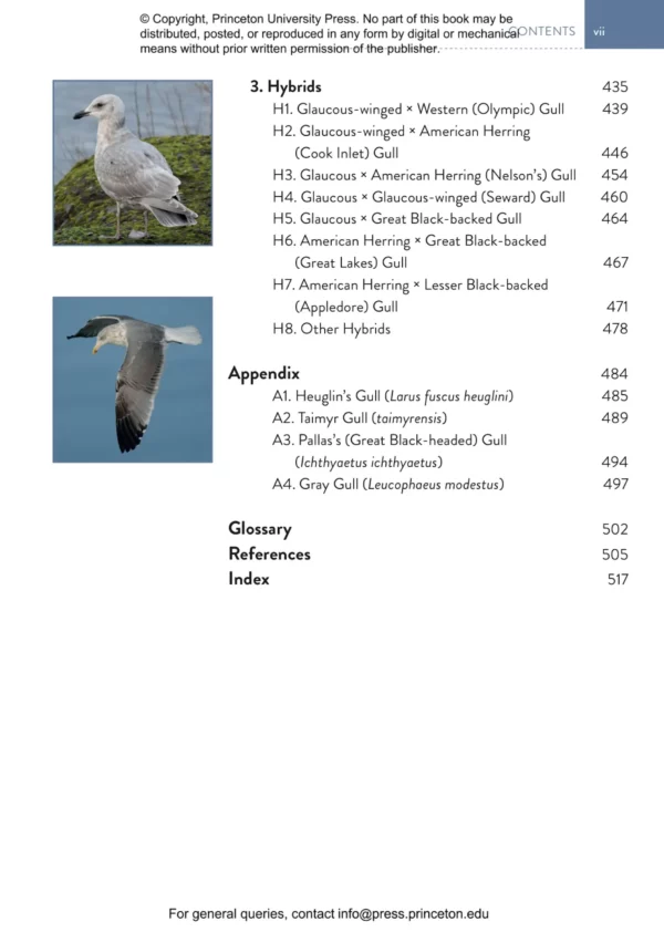 The Gull Guide