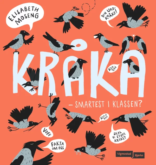 Kråka, smartest i klassen