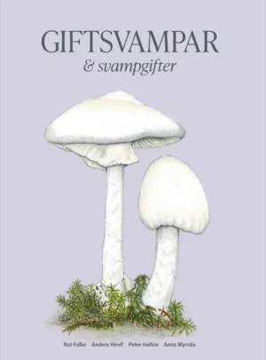 Giftsvampar och svampgifter