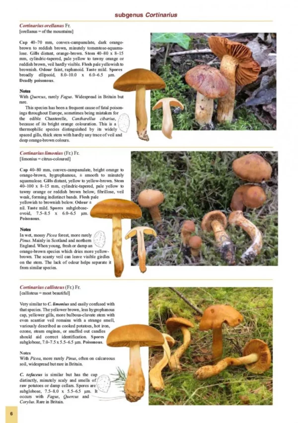 The Genus Cortinarius in Britain