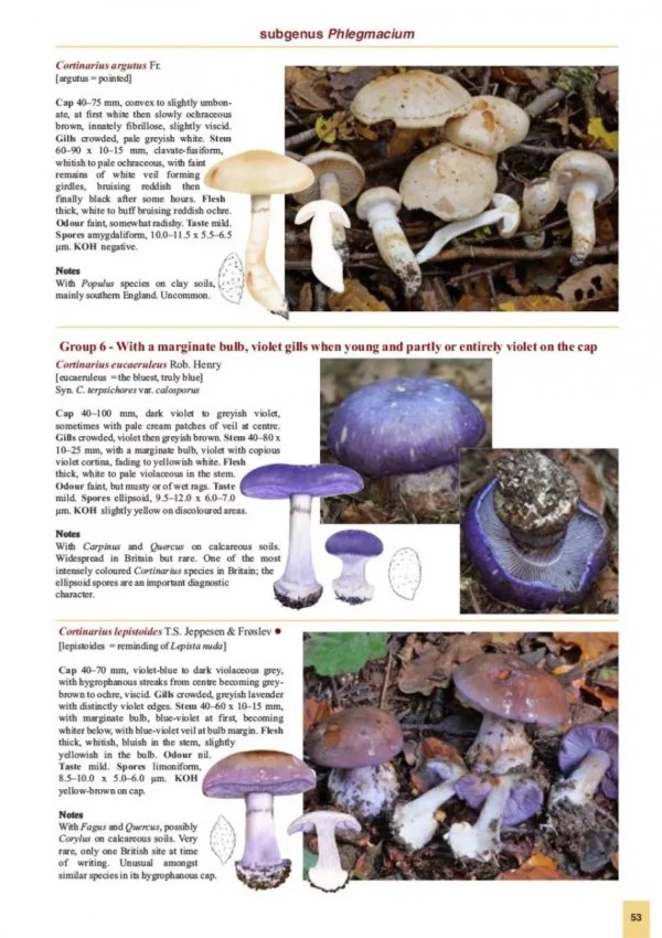 The Genus Cortinarius in Britain