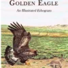 Behavior of the Golden Eagle