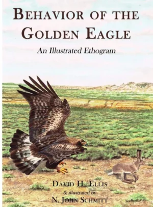 Behavior of the Golden Eagle