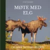 Møte med elg