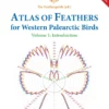 Atlas of Feathers for Western Palearctic Birds, Volume 1: Introduction