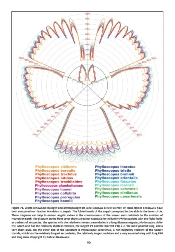 Atlas of Feathers for Western Palearctic Birds, Volume 1: Introduction