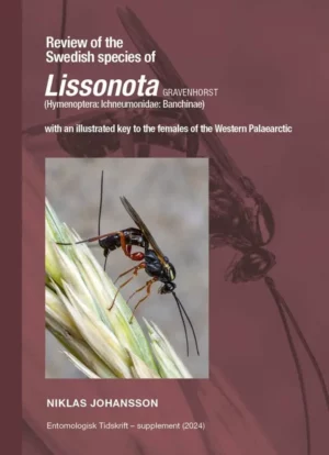 Review of the Swedish species of Lissonota Gravenhorst