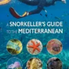 A Snorkeller’s Guide to the Mediterranean